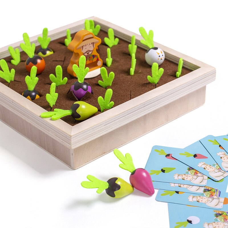 Montessori Carrots™- Educational Garden