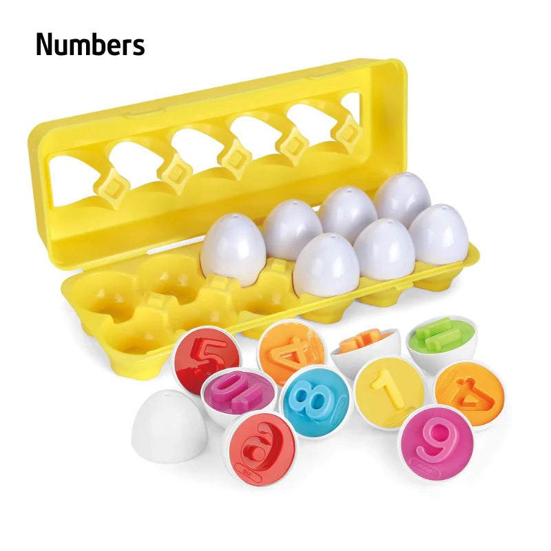 LOVEALOTTER Montessori Matching Eggs