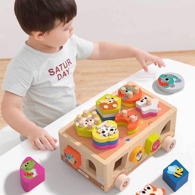 Montessori Wooden Shape Sorting Toys