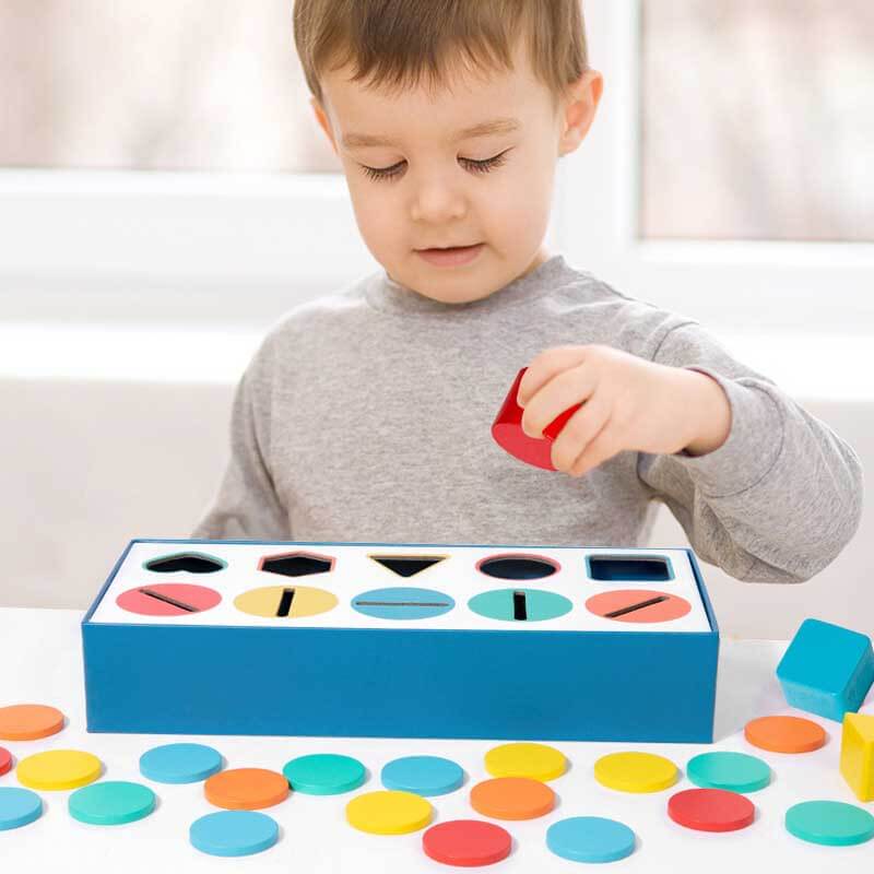 Color Shape Sorting&Matching