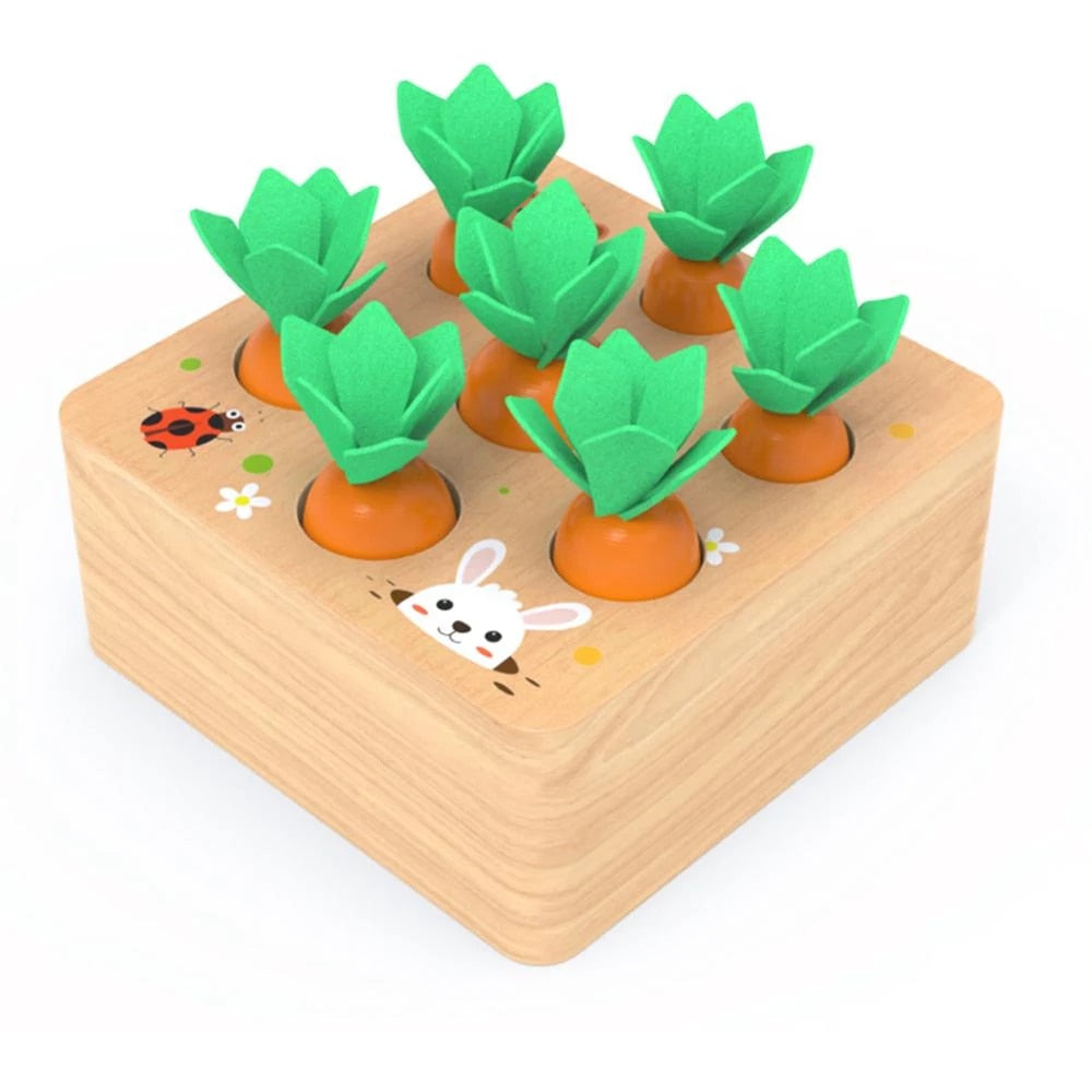 Montessori Carrots Blocks™- Educational Block Vegetable Garden