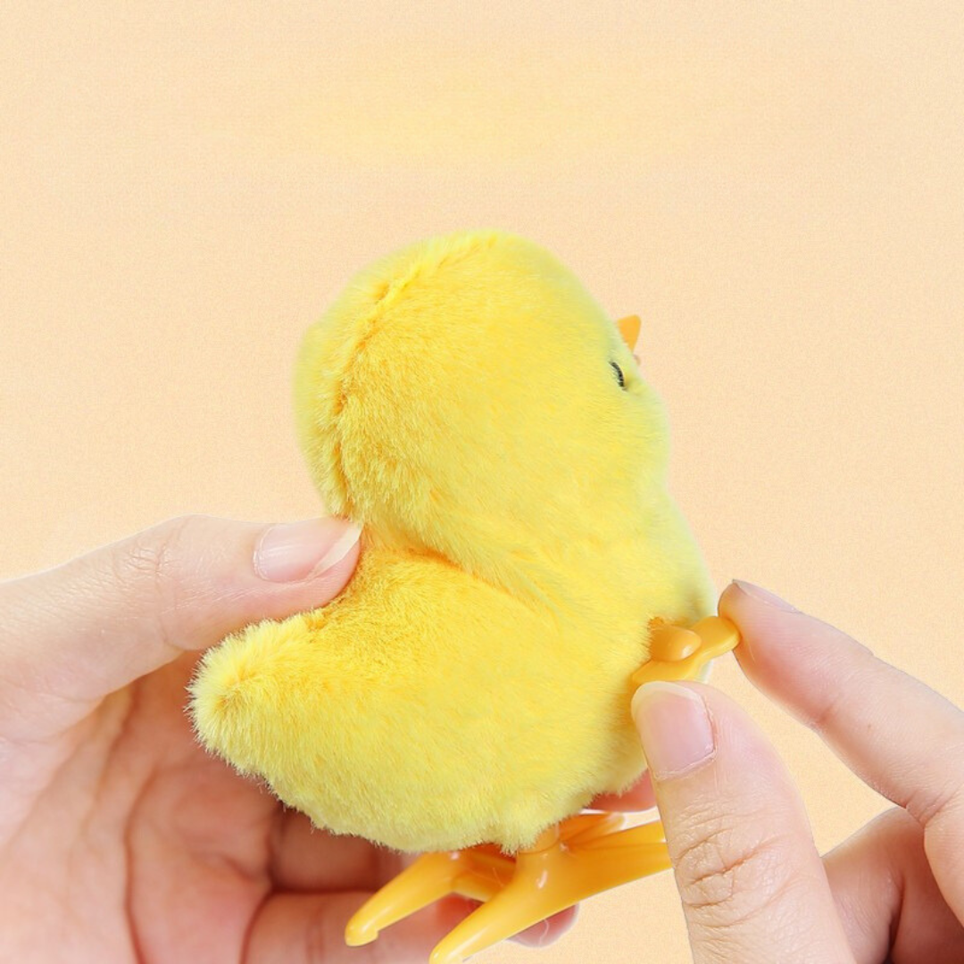 Wind Up Chick Toy