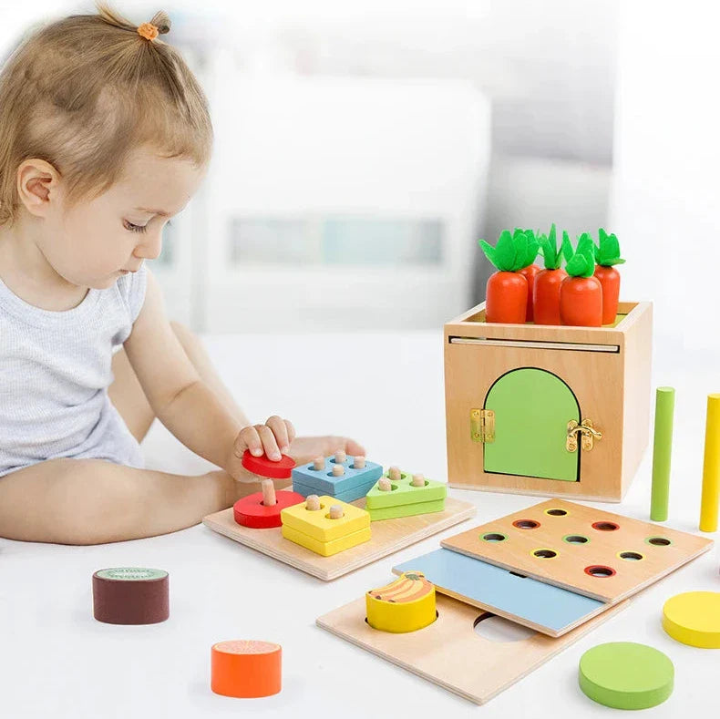 Montessori 6-in-1 Sorting Tool