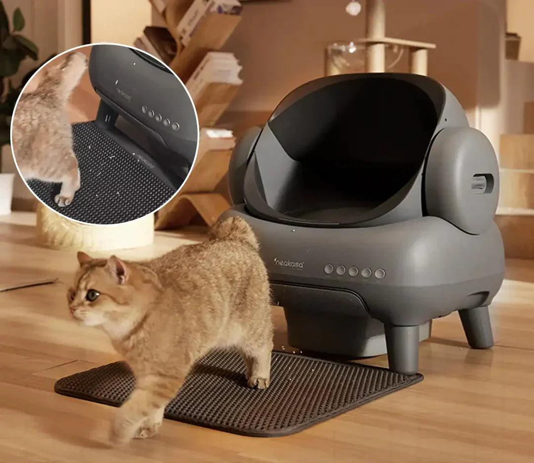 Open-Top Self-Cleaning Automatic Litter Box