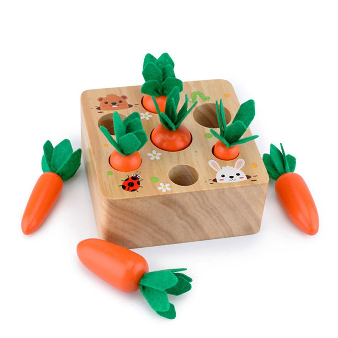 Best Seller: Carrots Harvest Box