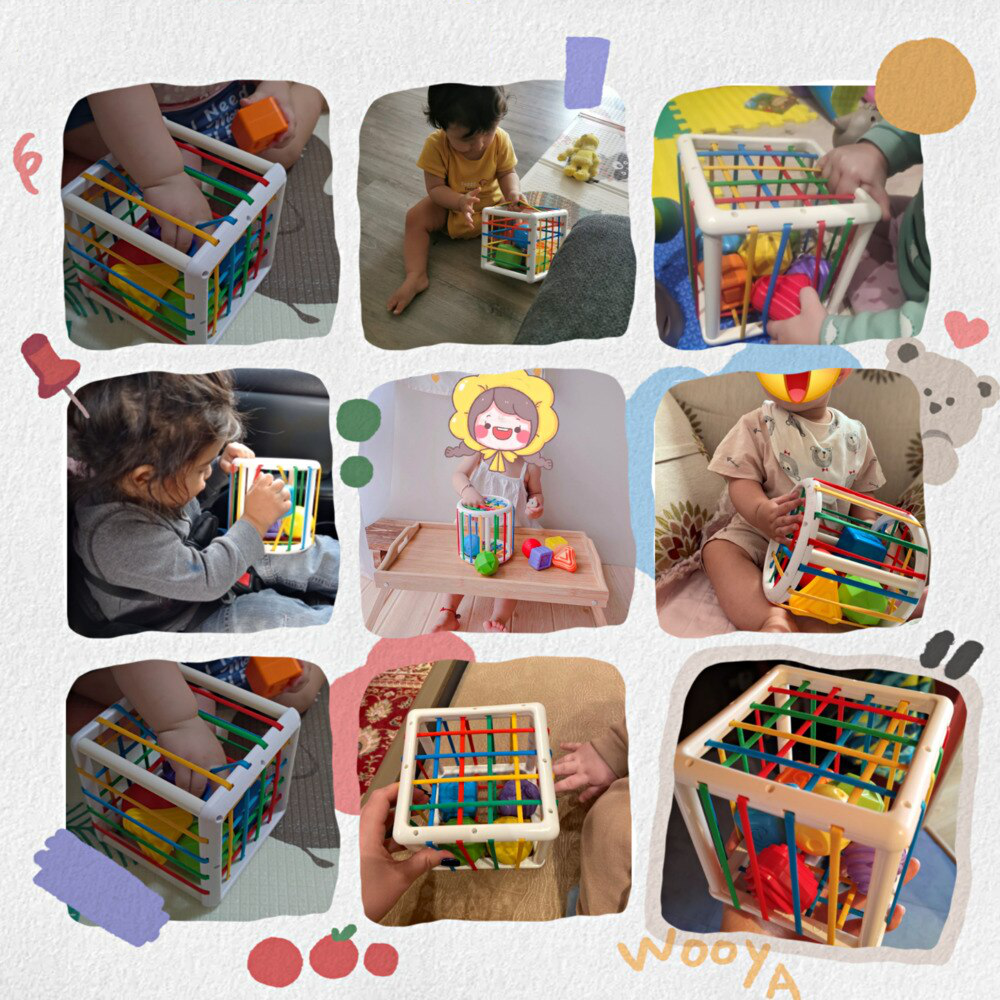 Montessori Box™- Educational Box