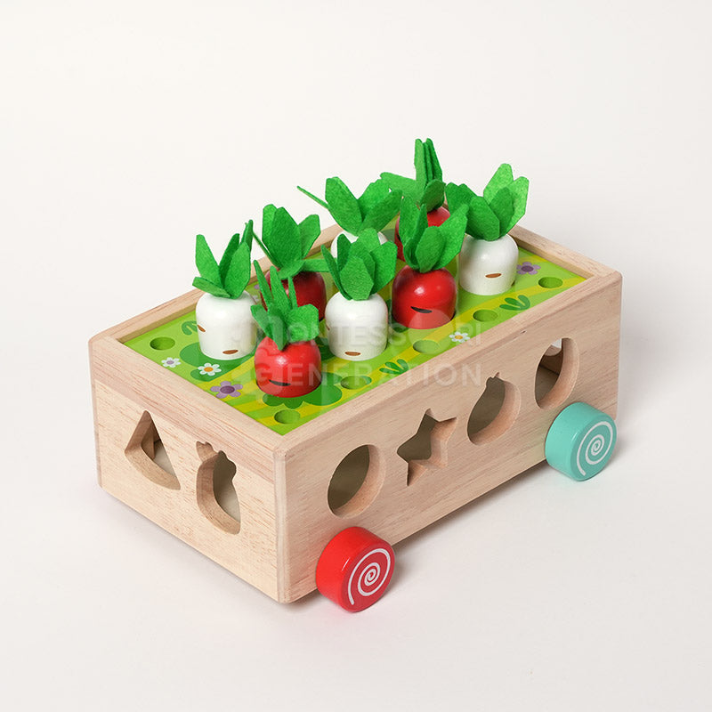 Montessori Carrot Wheels