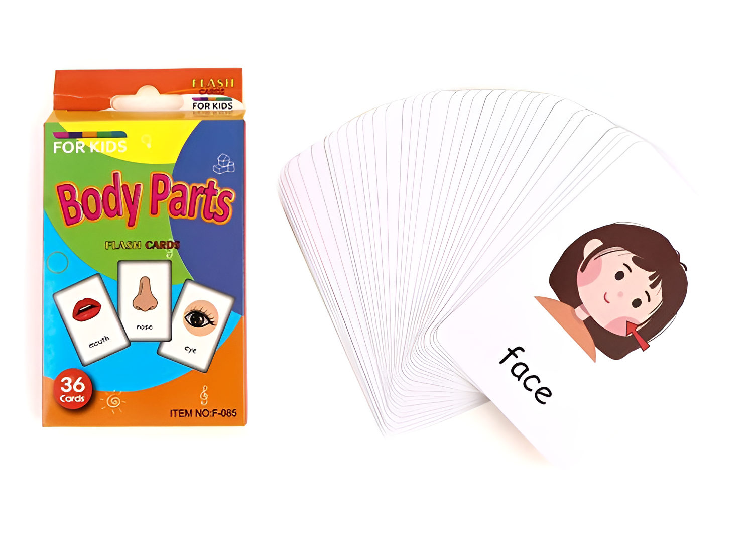 Montessori Educational Flashcards