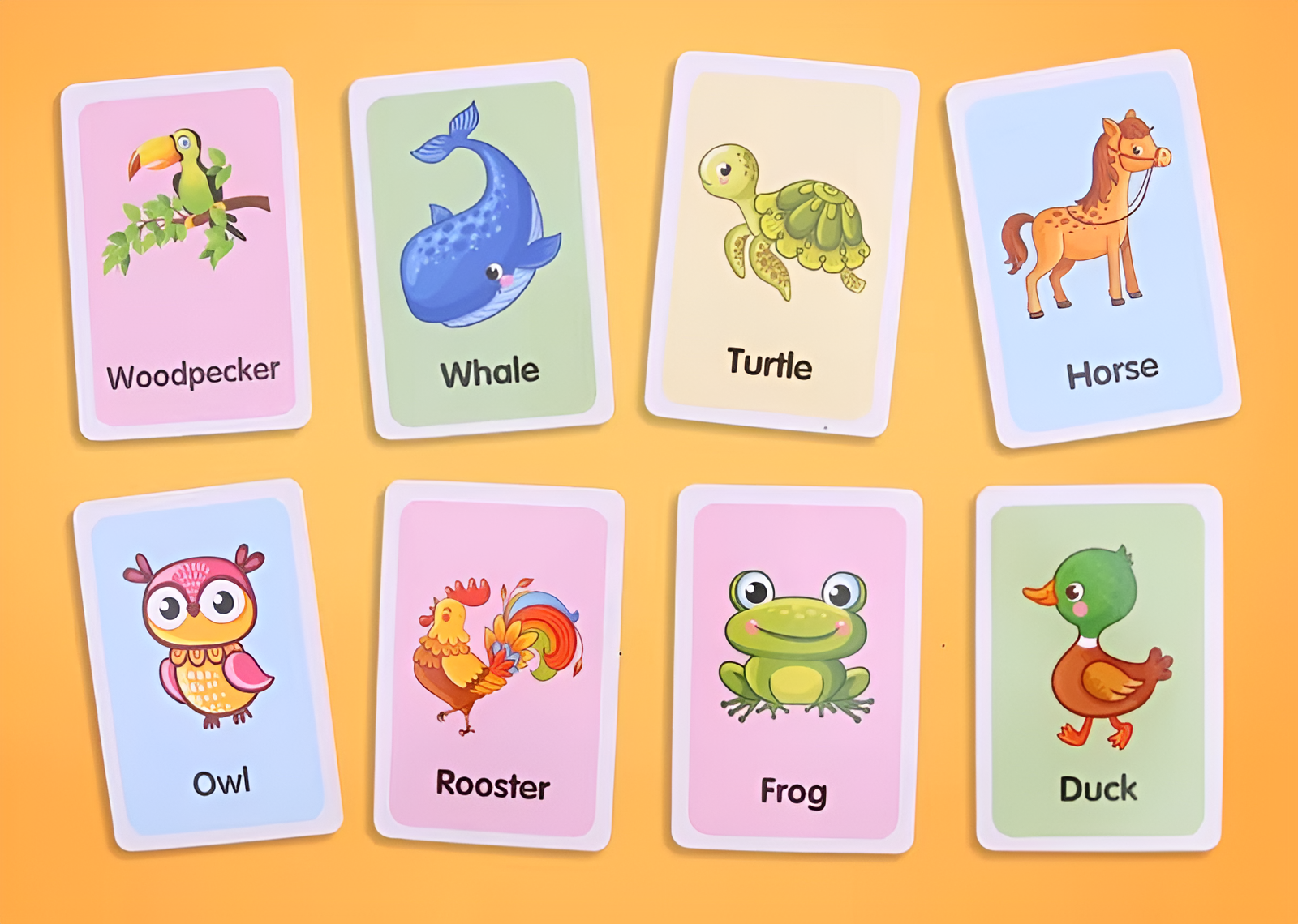 Montessori Educational Flashcards