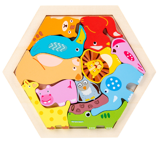 Montessori 3D Wooden Puzzle