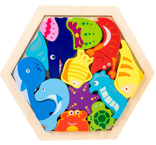 Montessori 3D Wooden Puzzle