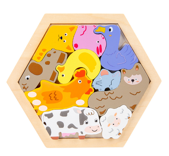 Montessori 3D Wooden Puzzle