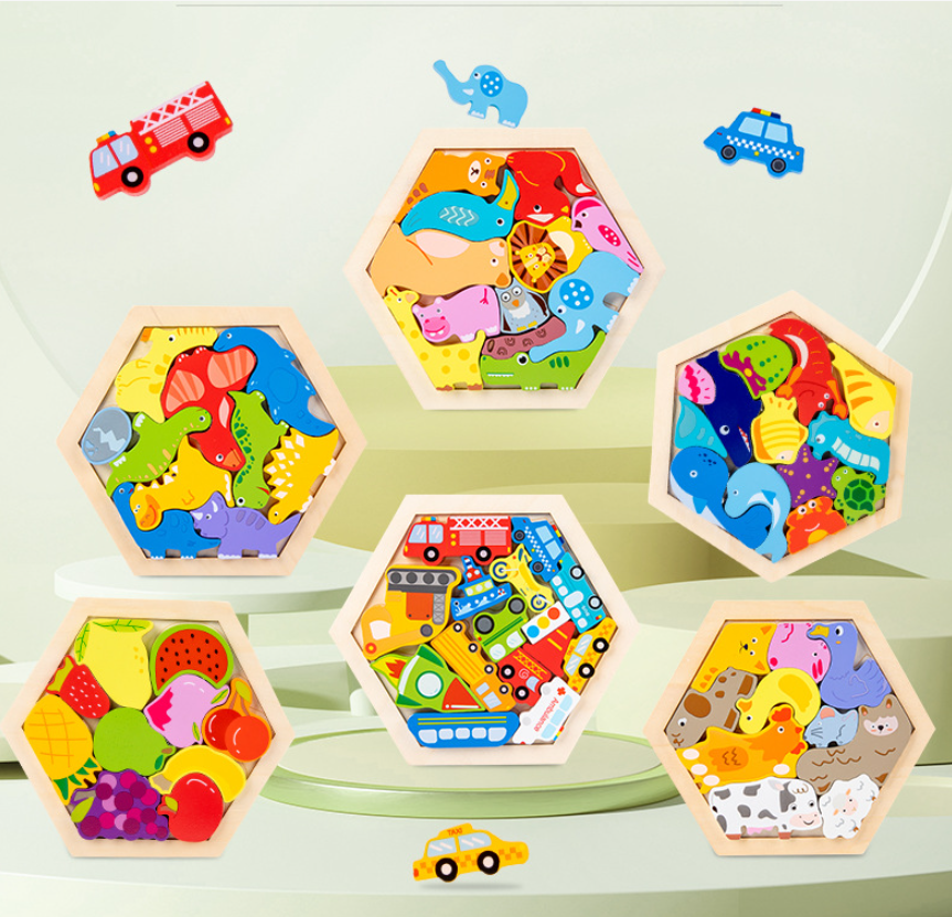 Montessori 3D Wooden Puzzle