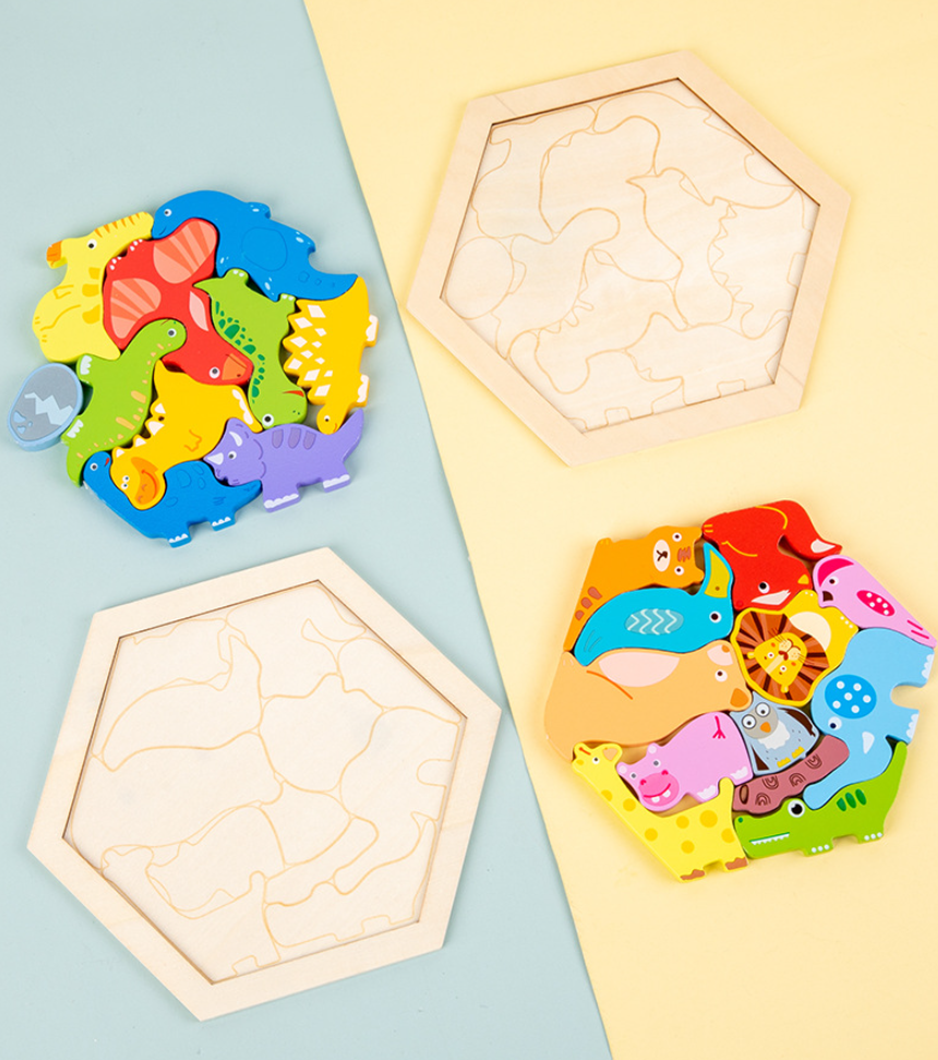 Montessori 3D Wooden Puzzle