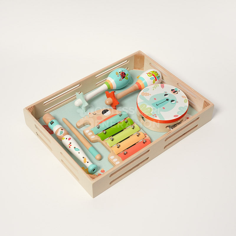 Montessori Music Set