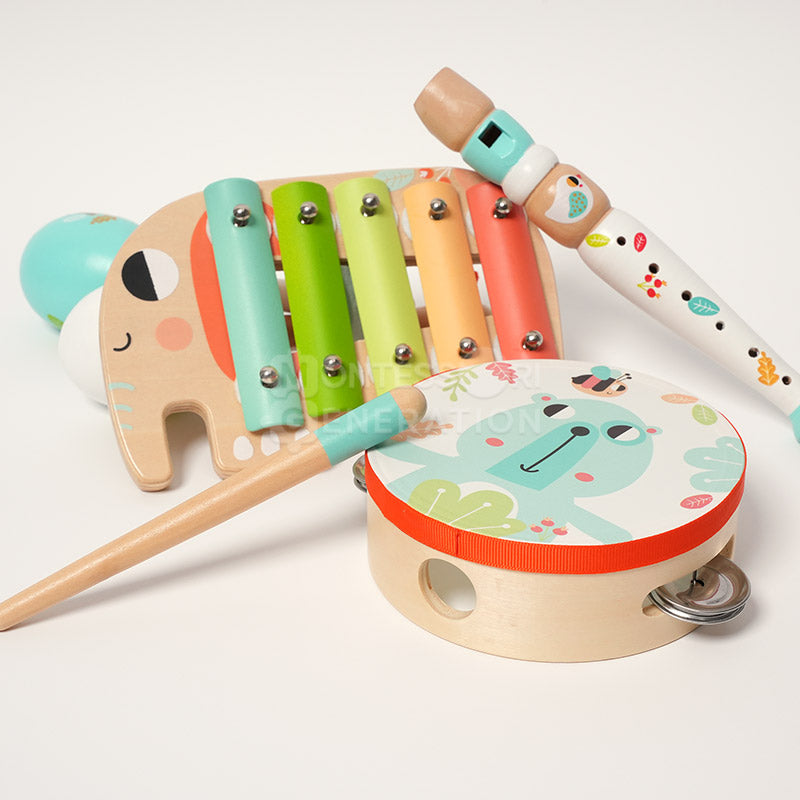 Montessori Music Set