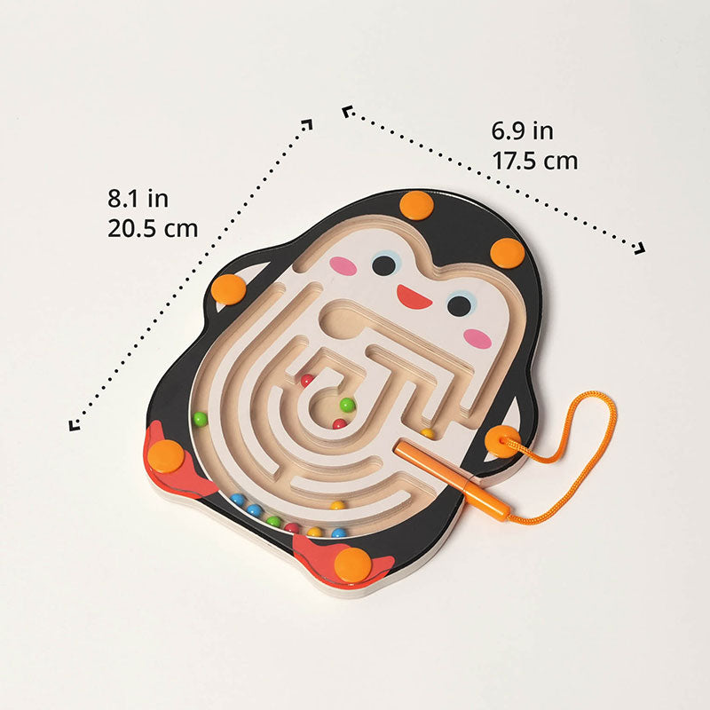 Montessori Magnetic Maze