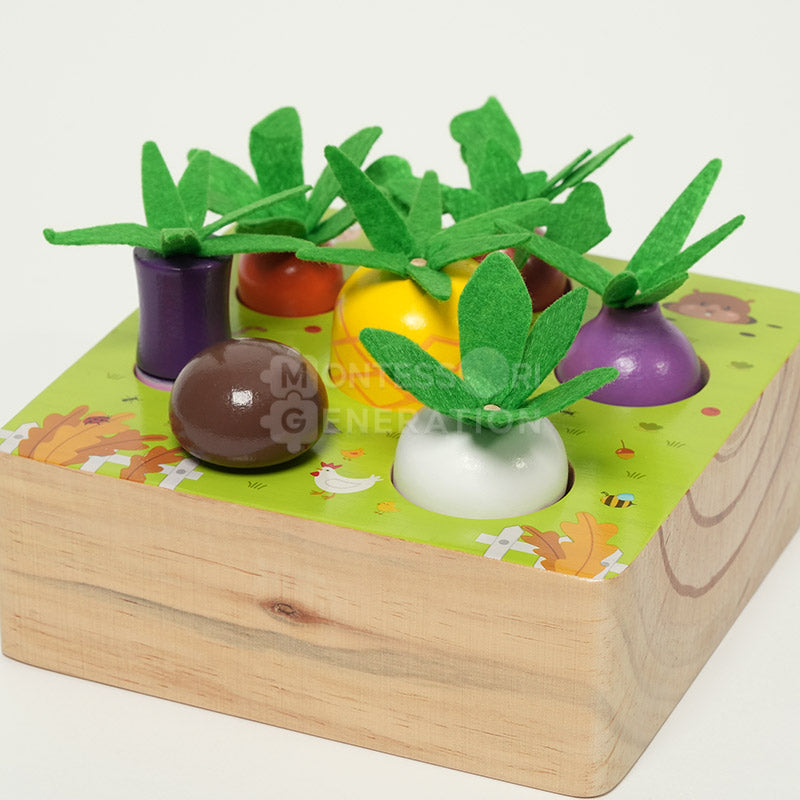 Montessori Vegetable Set