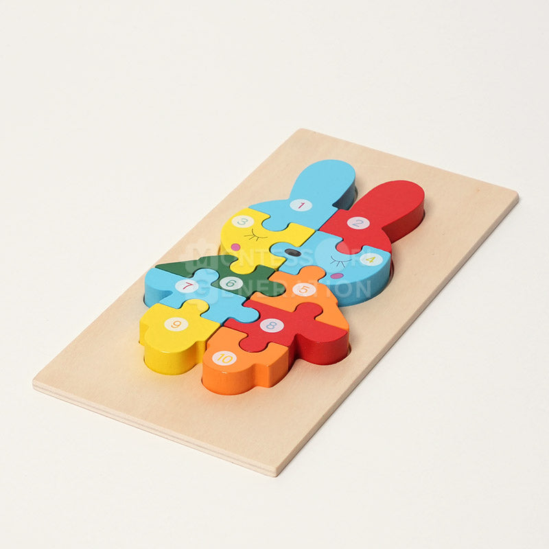 Montessori Wooden Puzzles (4 Pack)